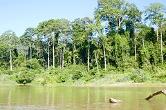Taman Negara