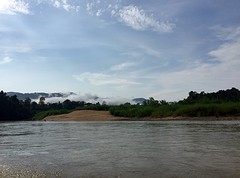 Taman Negara