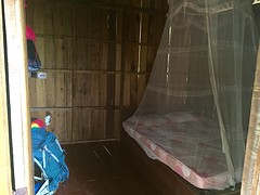 Basic stay, Kecil