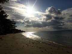 IMG_6516