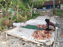 IMG_6525