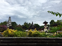IMG_6531