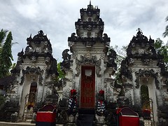 IMG_6534