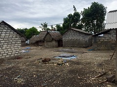 IMG_6535