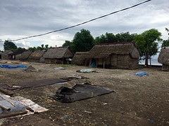 IMG_6536