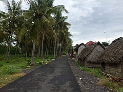 IMG_6537