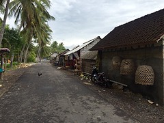 IMG_6540