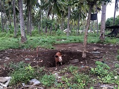 IMG_6542
