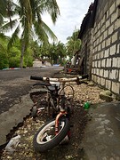 IMG_6546