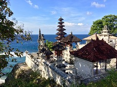 IMG_6560