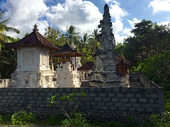 IMG_6561