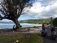 IMG_6566