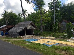 IMG_6567
