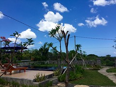 IMG_6779