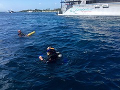 IMG_6703