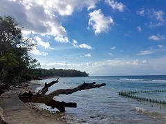 IMG_6576