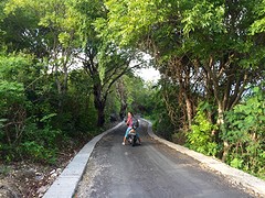 IMG_6587