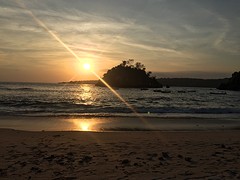 IMG_6661