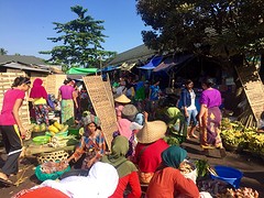 IMG_6844