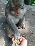IMG_6860