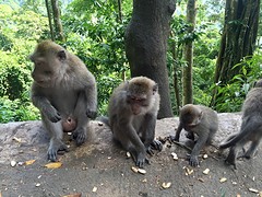 IMG_6868