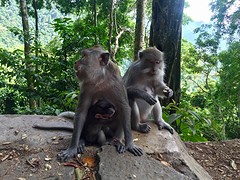 IMG_6870
