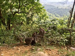 IMG_6872