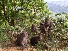IMG_6874