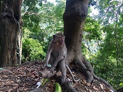 IMG_6876