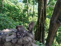 IMG_6880