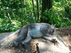 IMG_6883