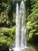 IMG_6884