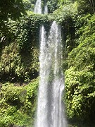 IMG_6885