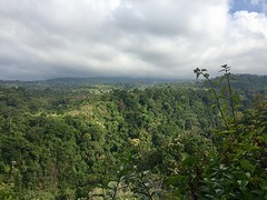 IMG_6895