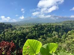 IMG_6917
