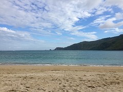 IMG_7001