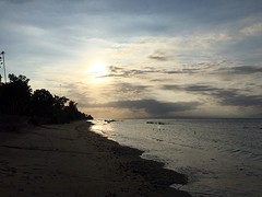 IMG_6666