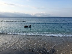 IMG_6668