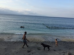 IMG_6674