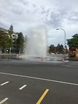 IMG_8297