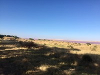 IMG_8345
