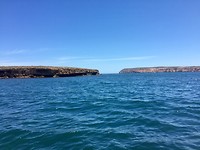 IMG_8541