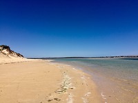 IMG_8549