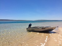 IMG_8550