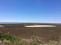 IMG_8551
