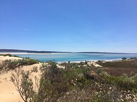 IMG_8553