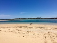 IMG_8557