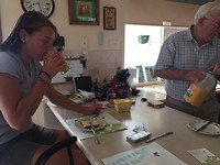 IMG_8786
