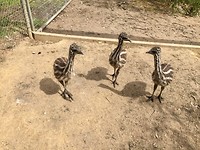 IMG_8835