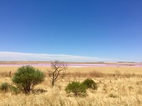 IMG_8740